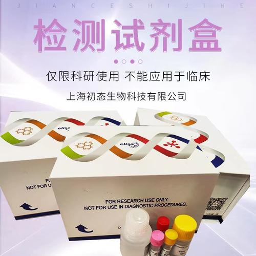 扫一扫企业档案上海初态生物科技第2年证营业执照已上传企